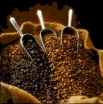 coffee_beans_INDIA